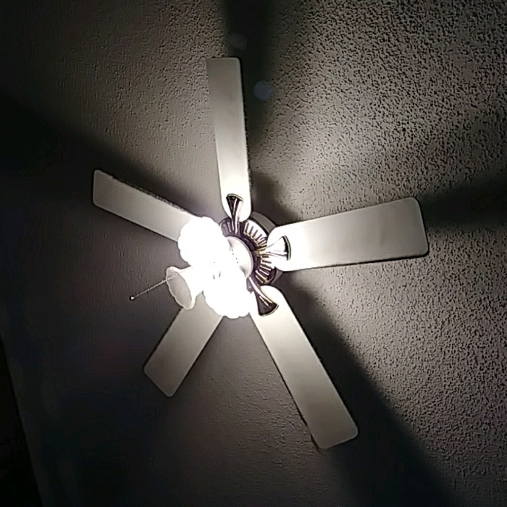 Meet your Posher, Liz